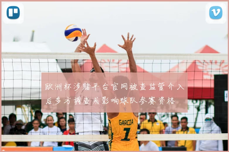 欧洲杯涉赌平台官网被查监管介入后多方调查或影响球队参赛资格