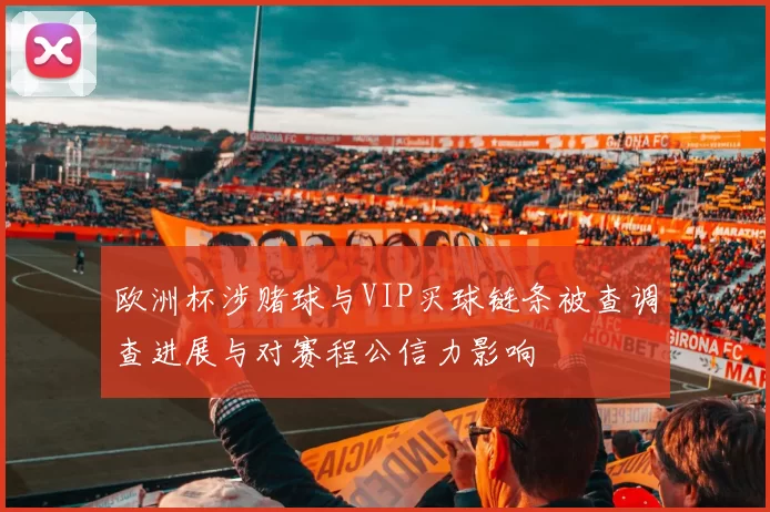 欧洲杯涉赌球与VIP买球链条被查调查进展与对赛程公信力影响