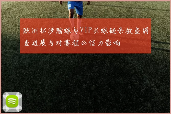 欧洲杯涉赌球与VIP买球链条被查调查进展与对赛程公信力影响