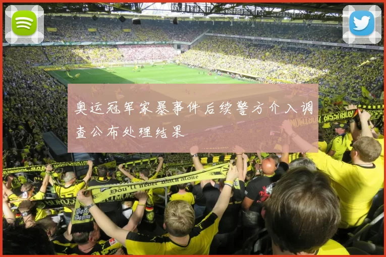 奥运冠军家暴事件后续警方介入调查公布处理结果