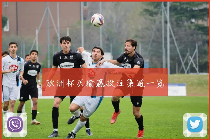 欧洲杯买输赢投注渠道一览