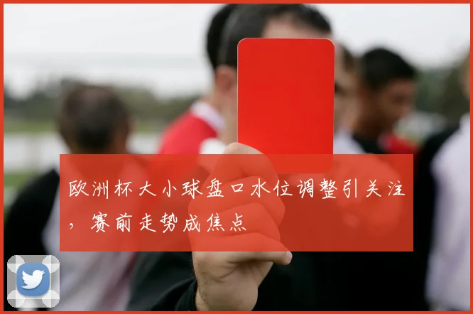 欧洲杯大小球盘口水位调整引关注,赛前走势成焦点