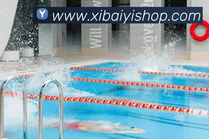 多媒体互动体验