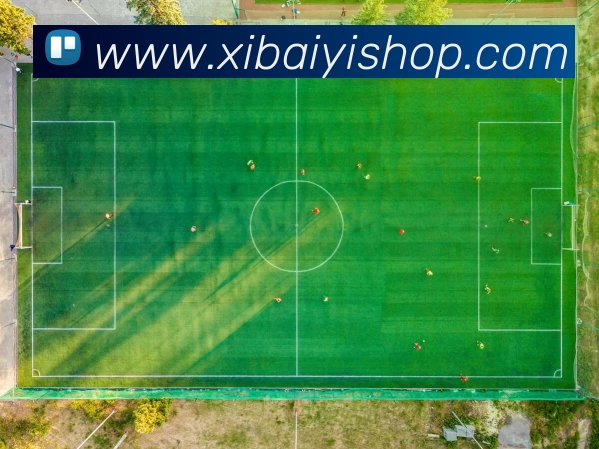 Bsports官方网站登录入口APP 高清赛事图