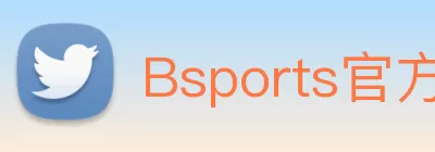 Bsports官方网站登录入口 Logo